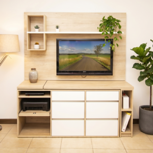 Organizador de TV multifunción