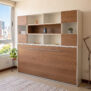 cr 1pl con bibilioteca olmo blanco